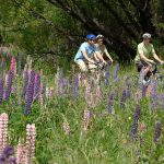 Arrow River Trail