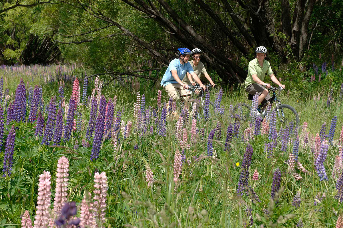 Arrow river trail