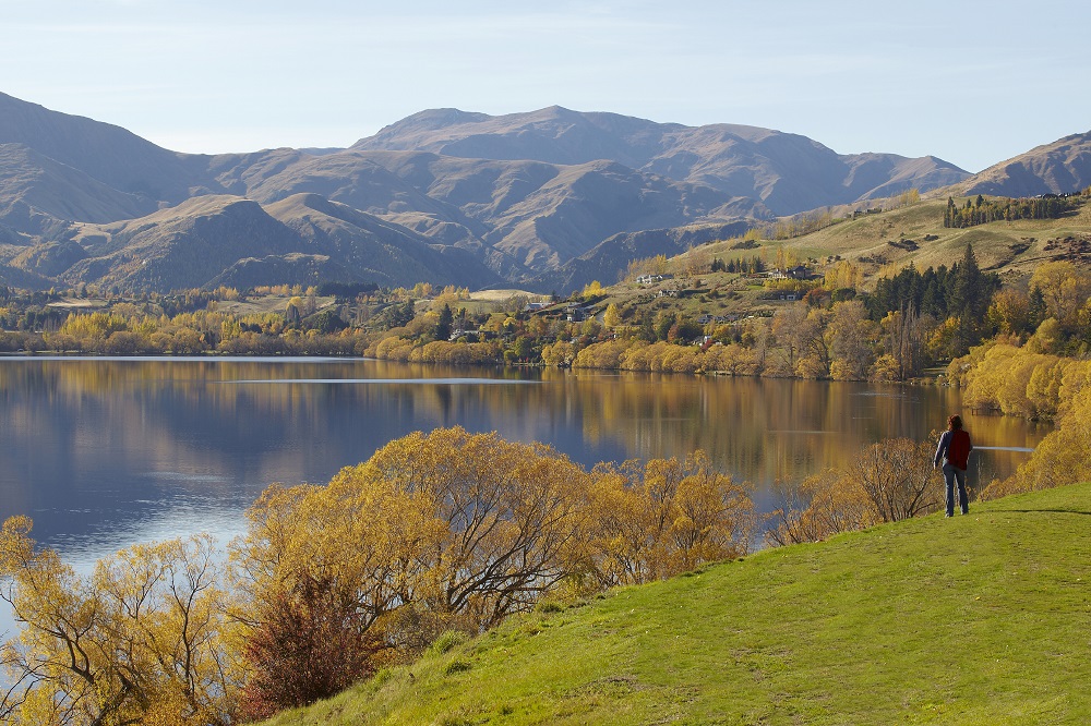 Lake Hayes Walkway