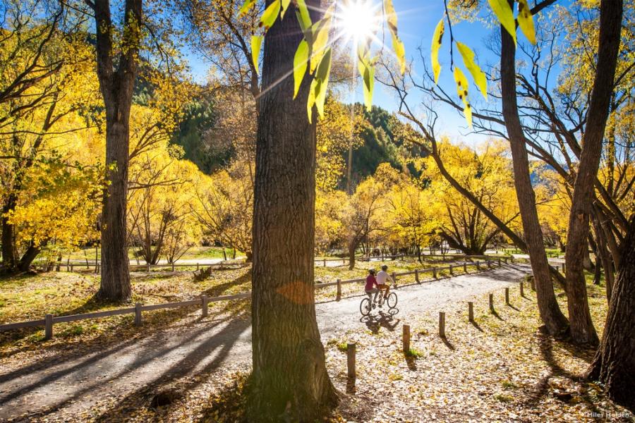 Arrowtown Millennium Walk