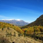 Sawpit Gully Trail